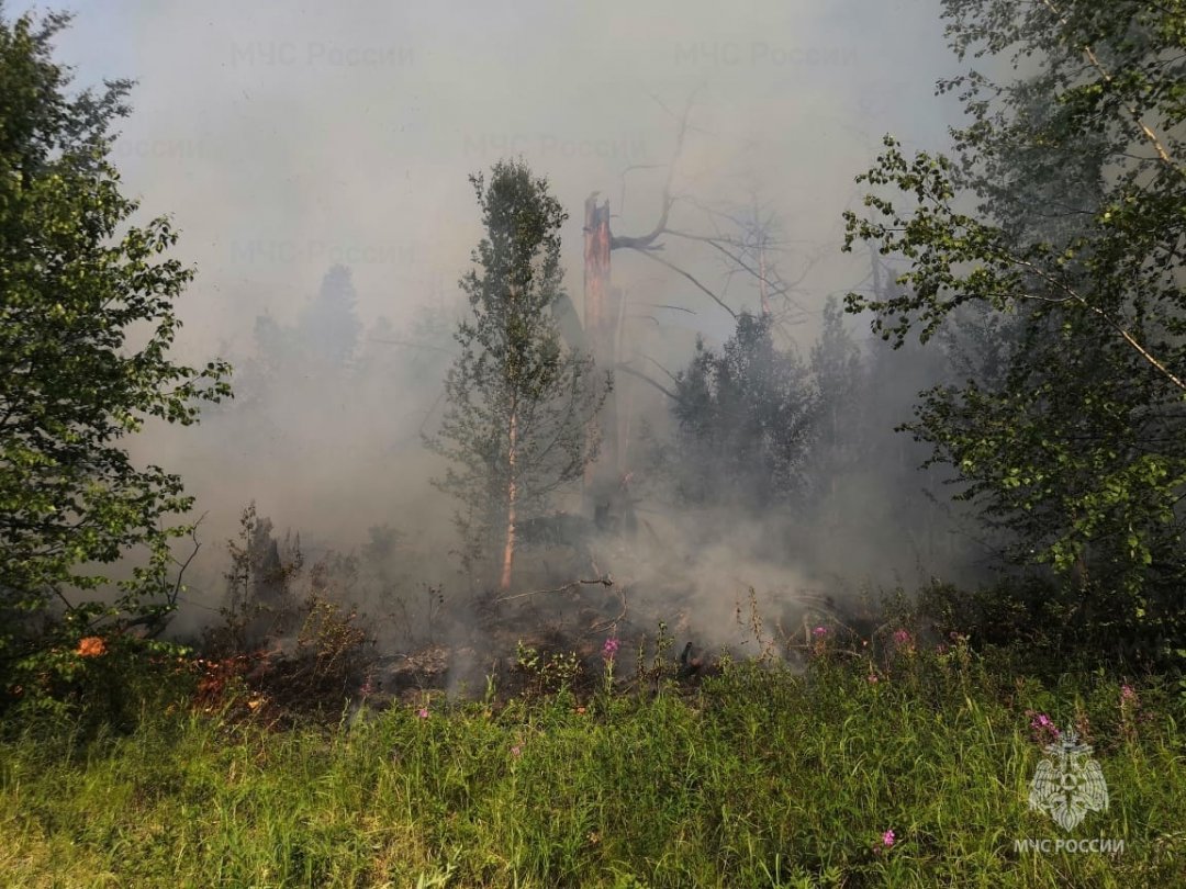 На Камчатке в четырёх населённых пунктах сохраняются высокие классы пожарной опасности