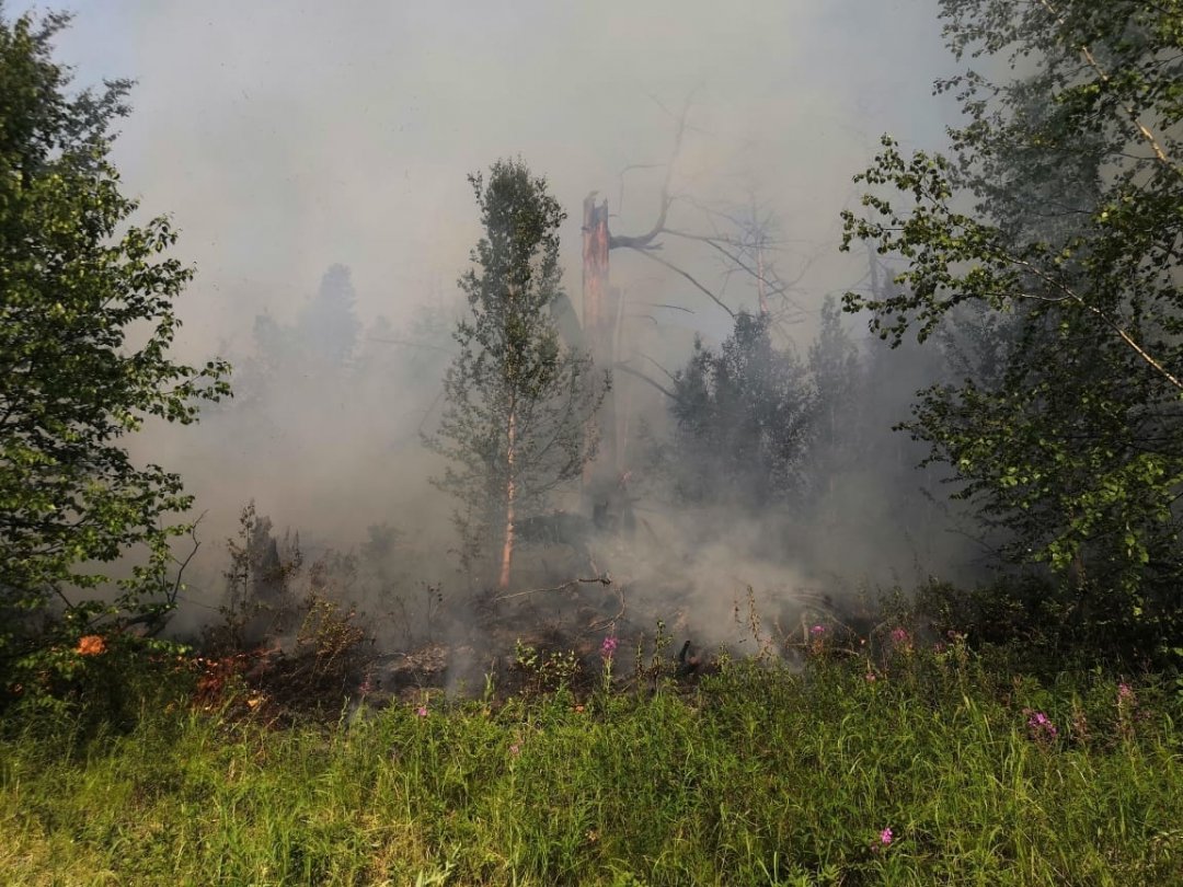 На Камчатке в двух населённых пунктах повысились классы пожарной опасности