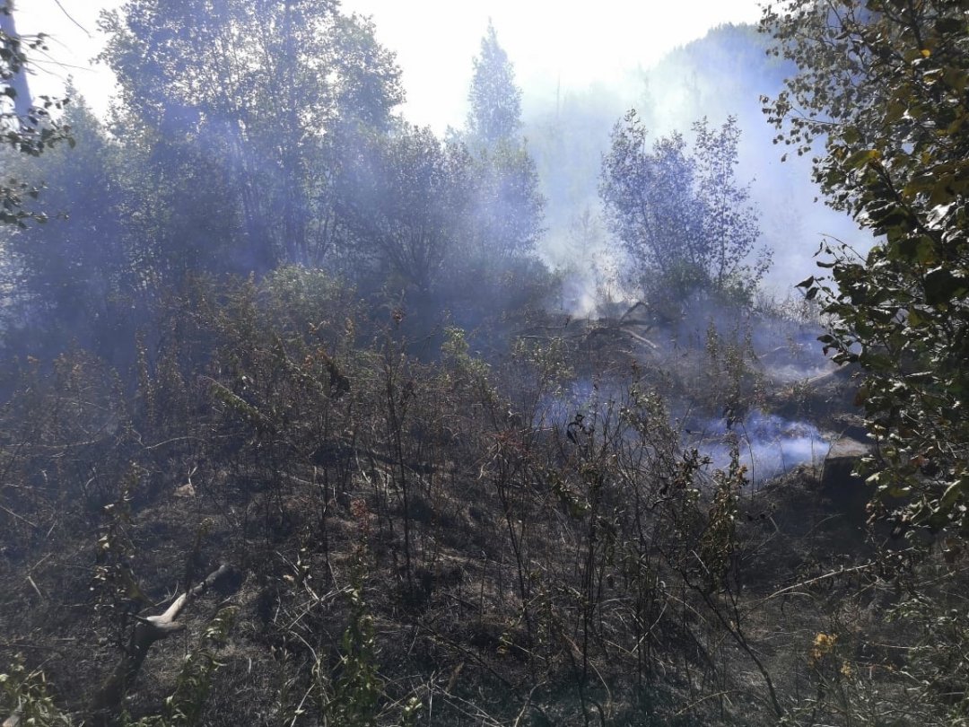 Особый противопожарный режим введён в городском округе  «посёлок Палана»